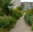 прибрежный - Rybinsk-Once.Ru