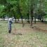 Пахарев - Rybinsk-Once.Ru