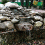 водопад - Rybinsk-Once.Ru