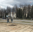 На площади Жукова высаживают клены - Рыбинские Известия