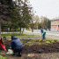 В Рыбинске высадят 16 тысяч тюльпанов - Рыбинские Известия