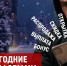 Четыре «новогодние» схемы обмана - Рыбинские Известия