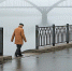 В Рыбинске потеплеет до +2°. Но ненадолго - Рыбинские Известия